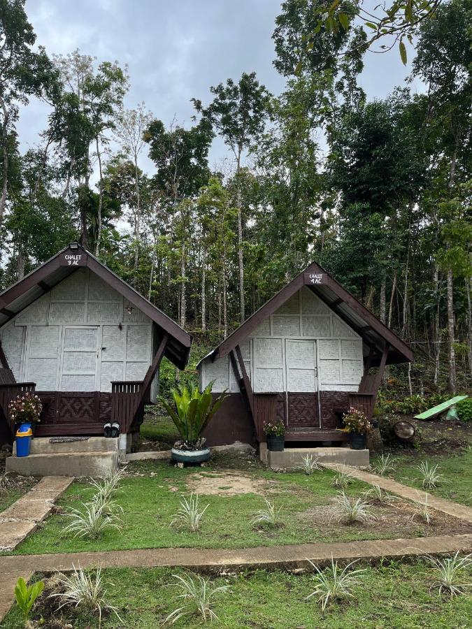 Roca'S Homestay Backpackers Chalet Batuan エクステリア 写真